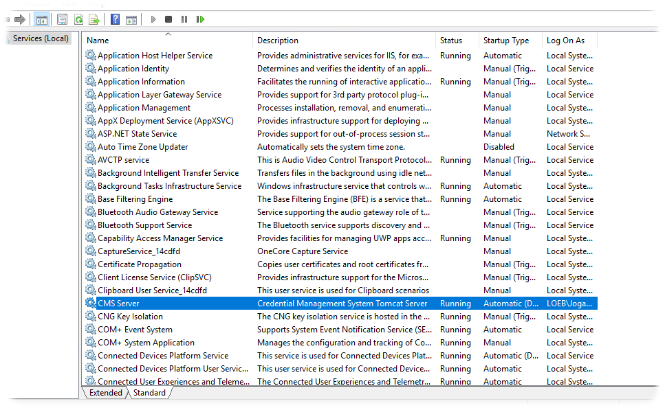 Microsoft Administrative Tools Services window with CMS Server highlighted in the right panel